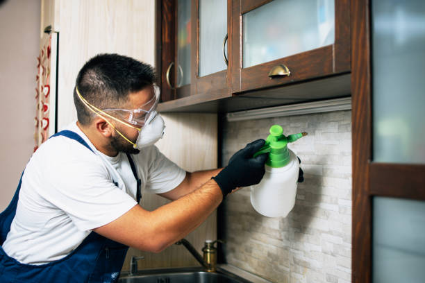 Best Exterminator Services  in Center Line, MI