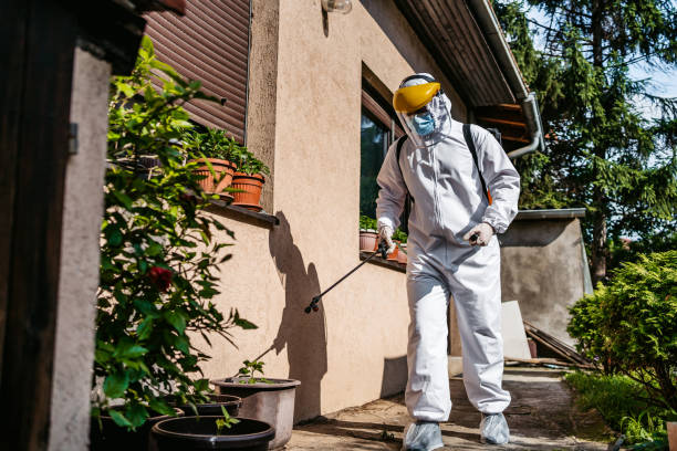 Best Affordable Pest Control Services  in Center Line, MI