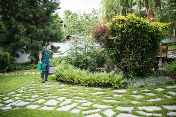Best Wasp Removal Services  in Center Line, MI