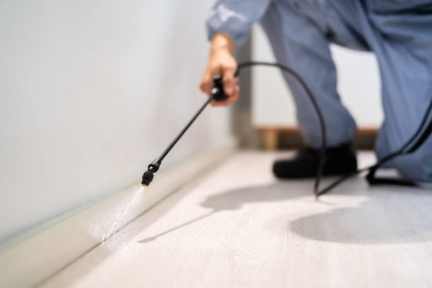 Best Termite Control Services  in Center Line, MI