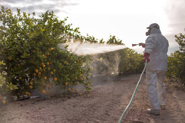 Best Emergency Pest Control  in Center Line, MI