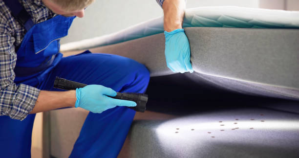 Wasp Removal Services in Center Line, MI