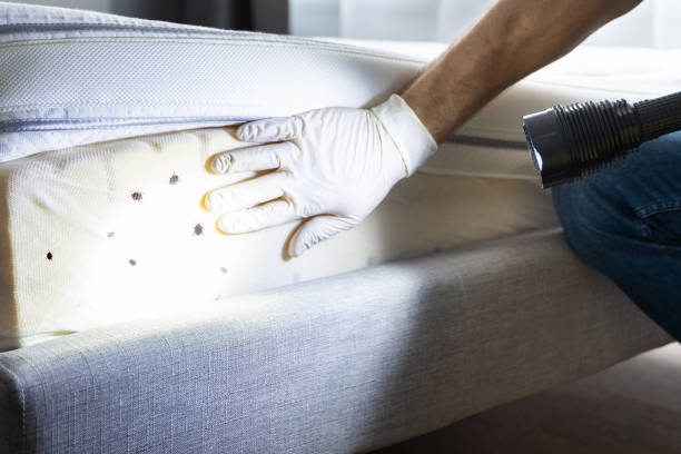 Trusted Center Line, MI Pest Control Experts