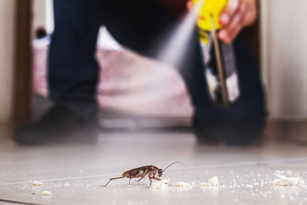 Best Bed Bug Extermination  in Center Line, MI