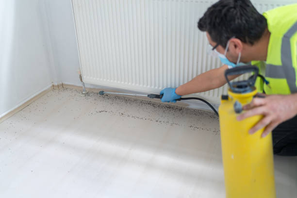 Best Mosquito Control Services  in Center Line, MI