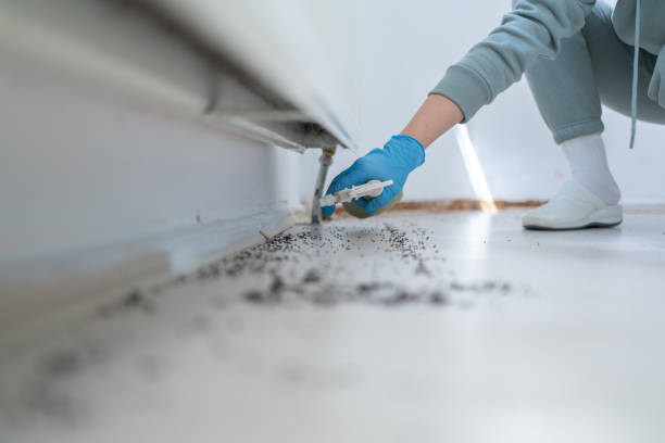 Best Pest Control for Homes  in Center Line, MI