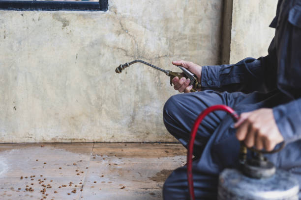 Best Flea Control Services  in Center Line, MI